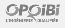 OPQIBI l'ingnierie qualifie